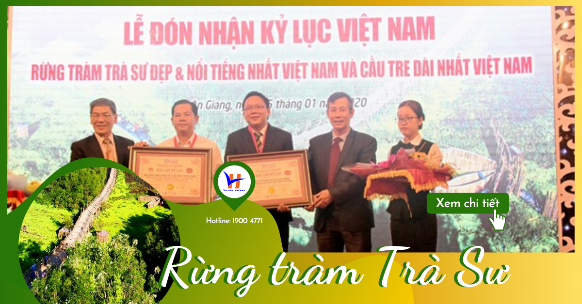 Rừng tràm Trà Sư nhận kỷ lục “khu rừng tràm đẹp nhất Việt Nam”